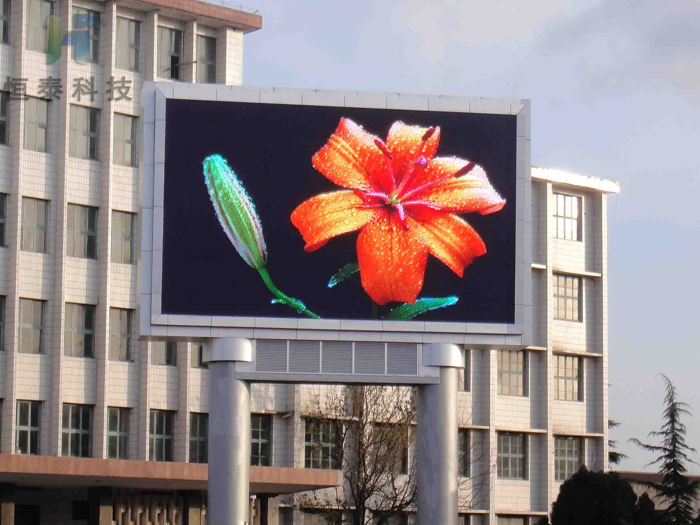 案例11.jpg